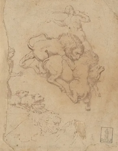 Hunting Scene And Lions Attacking Animals