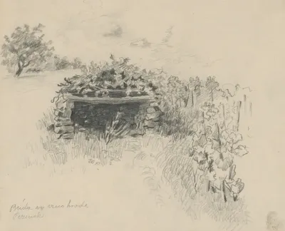Hut In The Vineyard