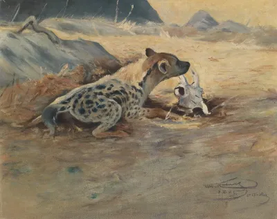 Hyane Auf Der Lauer