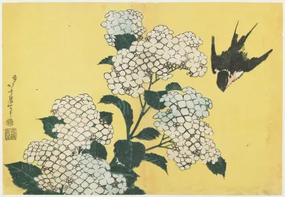 Hydrangeas And Swallow