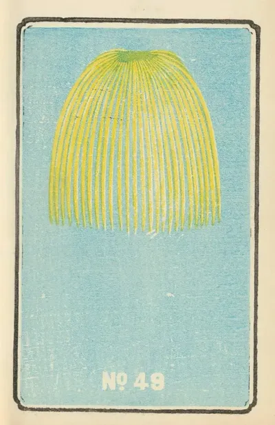Illustrated Catalogue Of Daylight Bomb Shells No 49