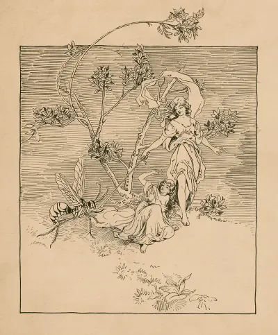 Illustration From A Midsummer Nights Dream 16