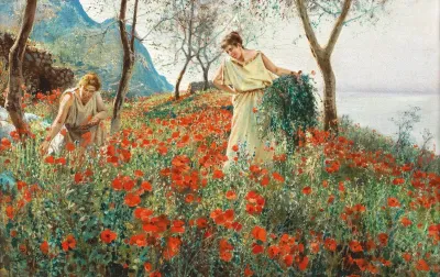 In A Poppy Field