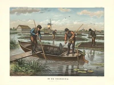 In The Bog