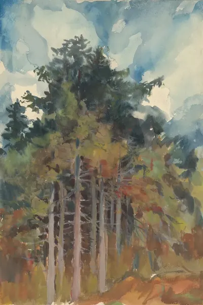 In The Forest In Autumn