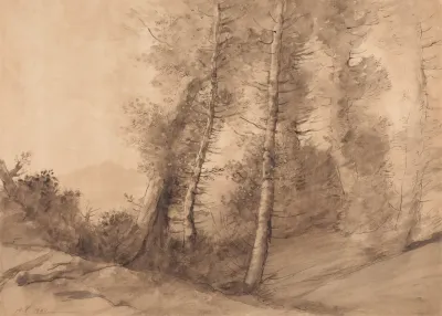 In The Skirts Of The Forest