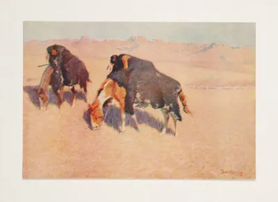 Indians Simulating Buffalo