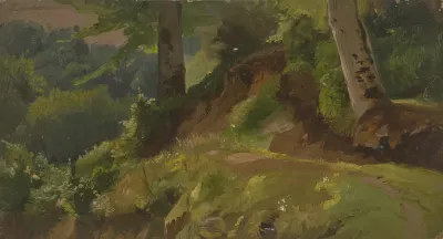 Inside A Forest 2