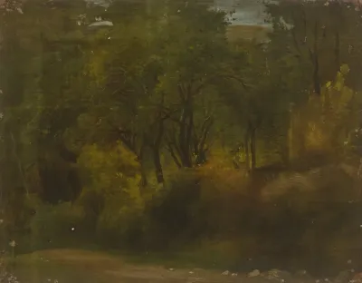 Inside A Forest