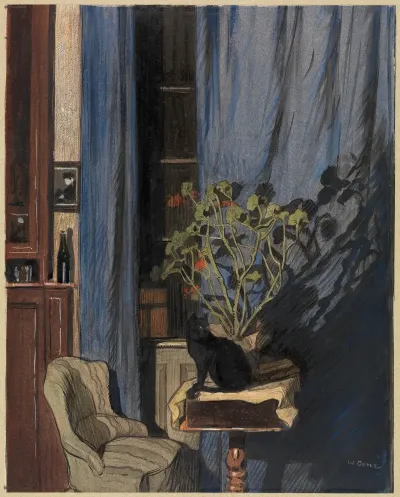 Interior With Black Cat