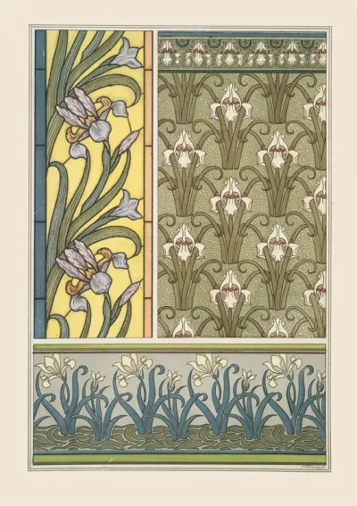 Iris 2