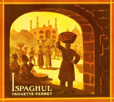 Ispaghul