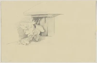 Ivy 8