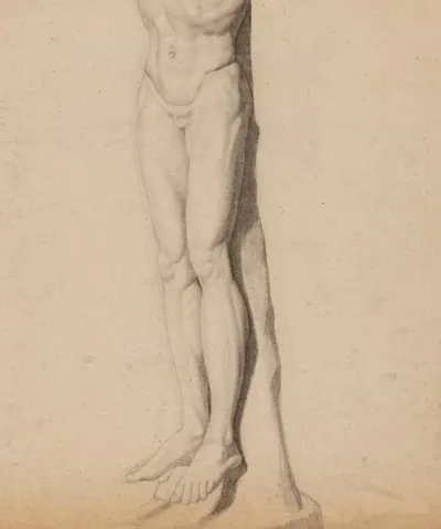 Jambes Et Bas Dun Torse Dhomme