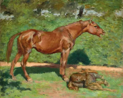 Jument Et Son Poulain