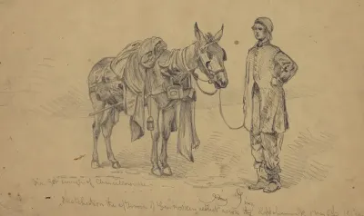Just From Chancellorsville An Amateur Quartermaster