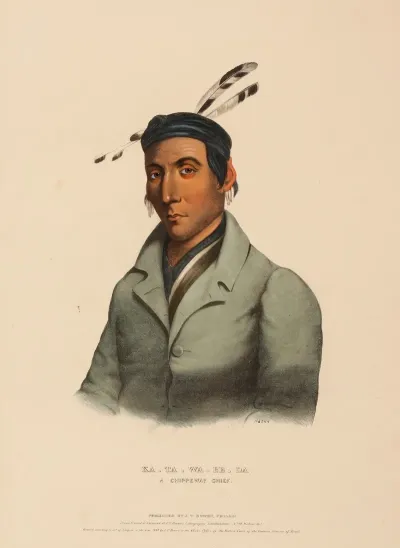 Ka Ta Wa Be Da A Chippeway Chief