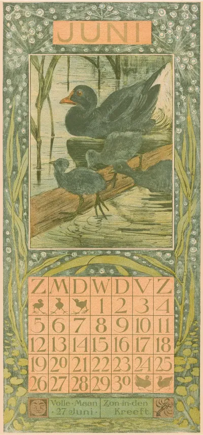 Kalenderblad Juni Met Zwarte Eend