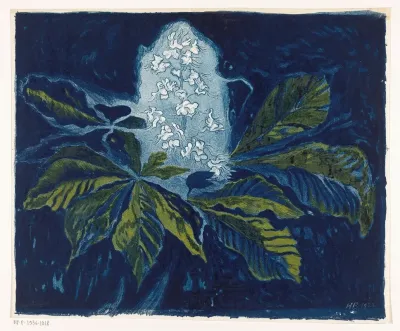 Kastanje