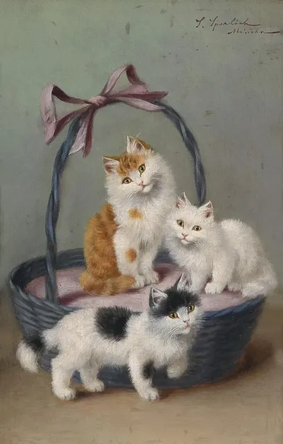 Katzen Im Korb