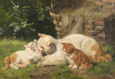 Katzenmutter Mit Ihren Beiden Jungen