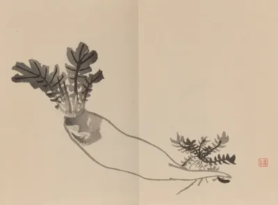 Keinen Shugajo Pl 11