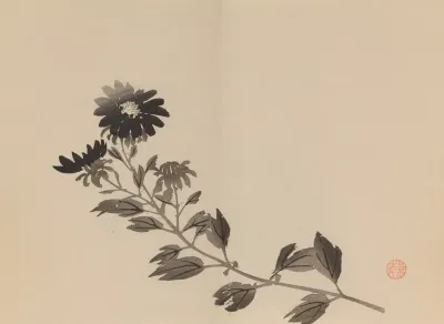 Keinen Shugajo Pl 24