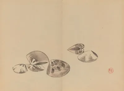 Keinen Shugajo Pl 31