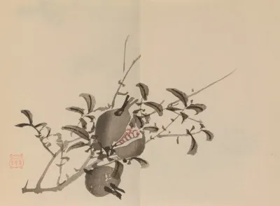 Keinen Shugajo Pl 39