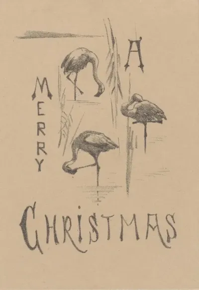 Kerstkaart Met Drie Flamingos
