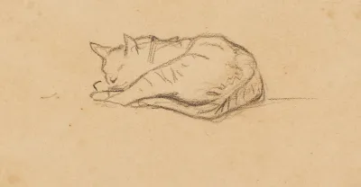 Kleine Katzenstudie