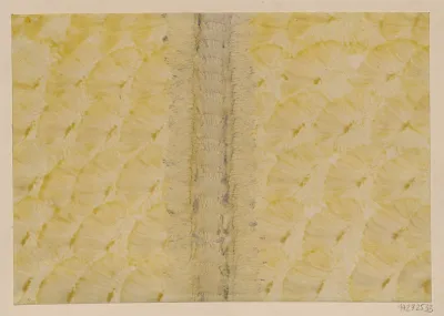 Kleisterpapier Mit Pinseldekor 4