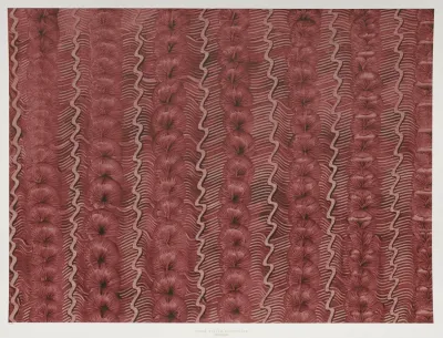 Kleisterpapier Streifendekor