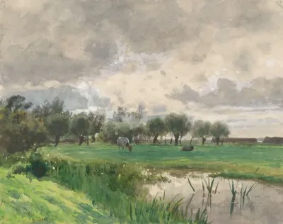 Koe Grazend In Een Weide