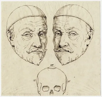 Kop Van Willem Van Oranje Beeld Spiegelbeeld Schedel