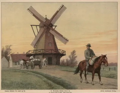Kornmolle