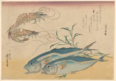 Kuruma Ebi Aji Prawns And Horse Mackerel