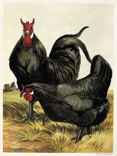La Fleche