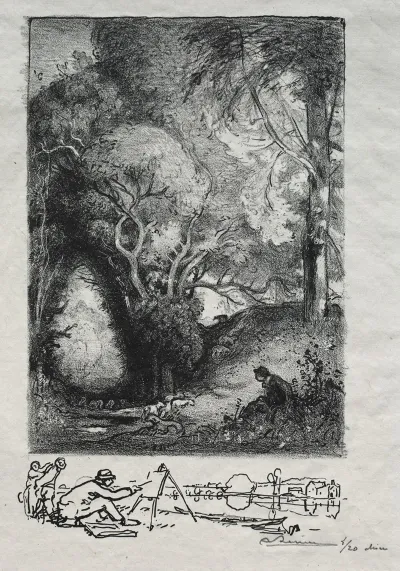 La Ravine En Juin