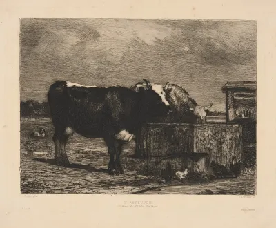 Labreuvoir The Trough