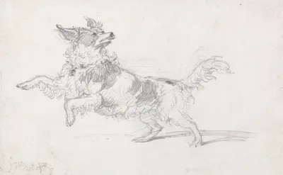 Lady Londonderrys Dog
