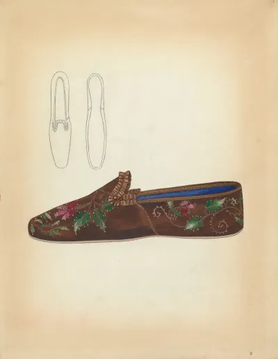 Ladys Slipper