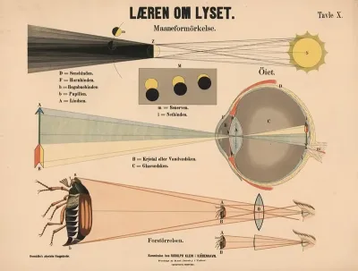 Laeren Om Lyset