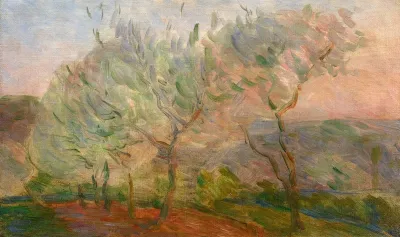 Landsacpe With Trees And Sunset