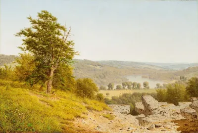 Landscape 231