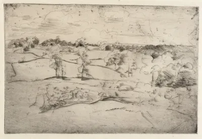 Landscape 429
