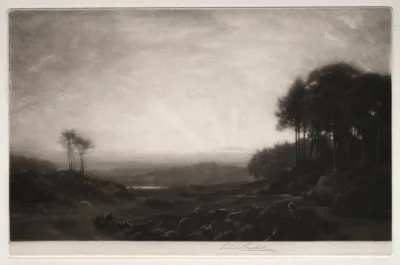 Landscape 477