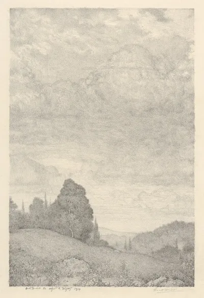 Landscape 489