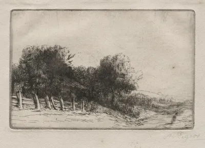 Landscape 8 2
