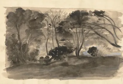 Landscape Black Trees Ii